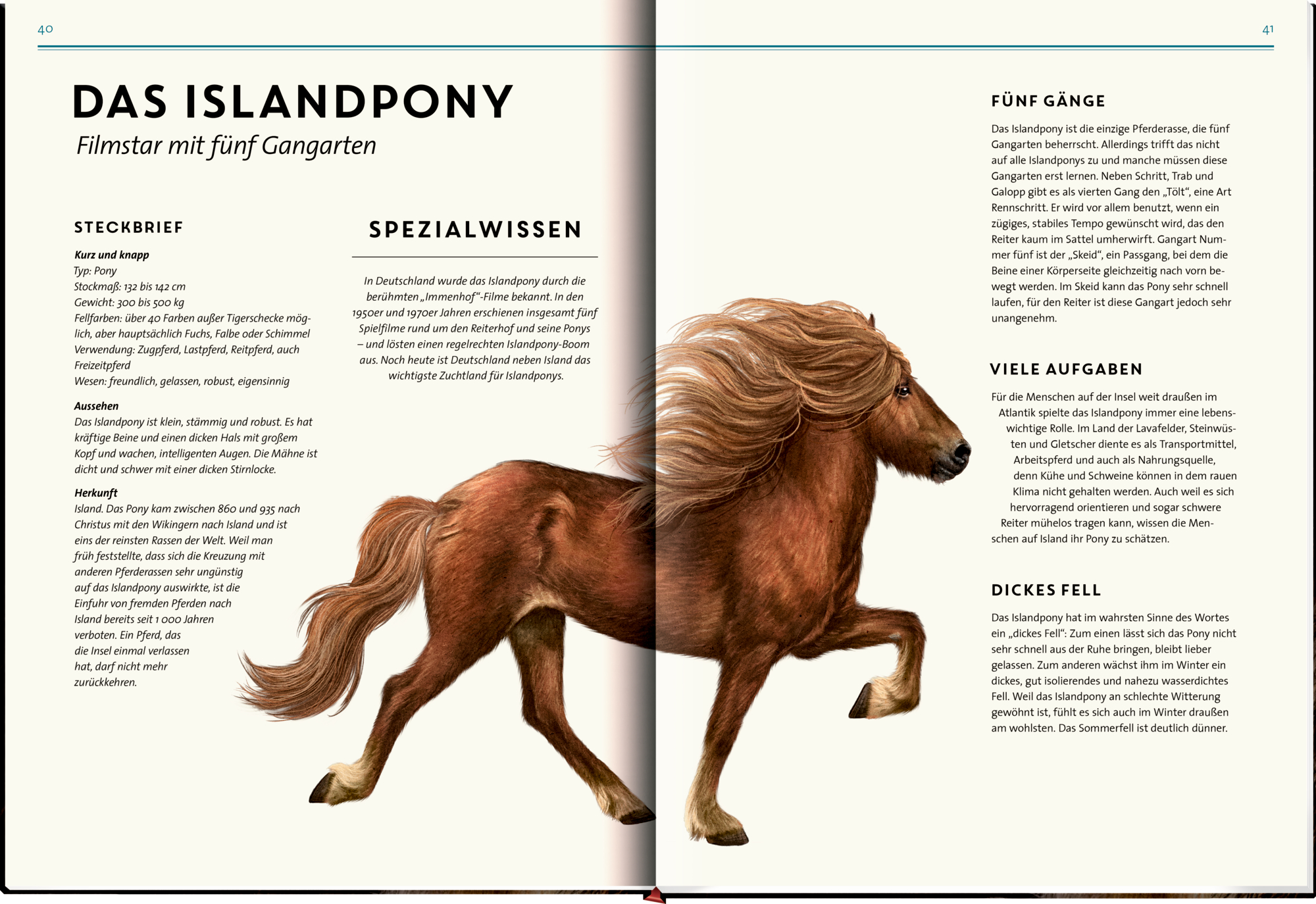 9783649646495_innenansicht_16 9783649646495_innenansicht_16.jpg