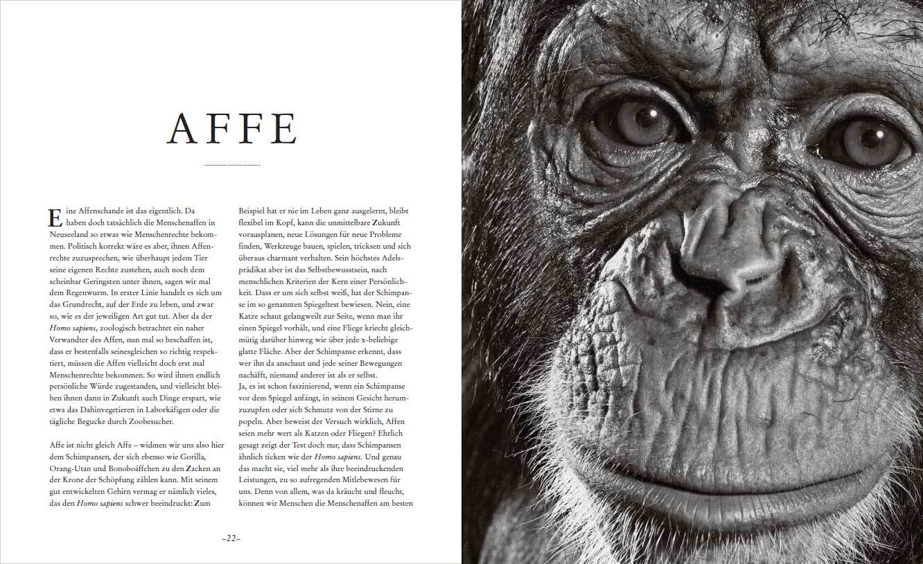 9783809448006_innenansicht_01 9783809448006_innenansicht_01.jpg