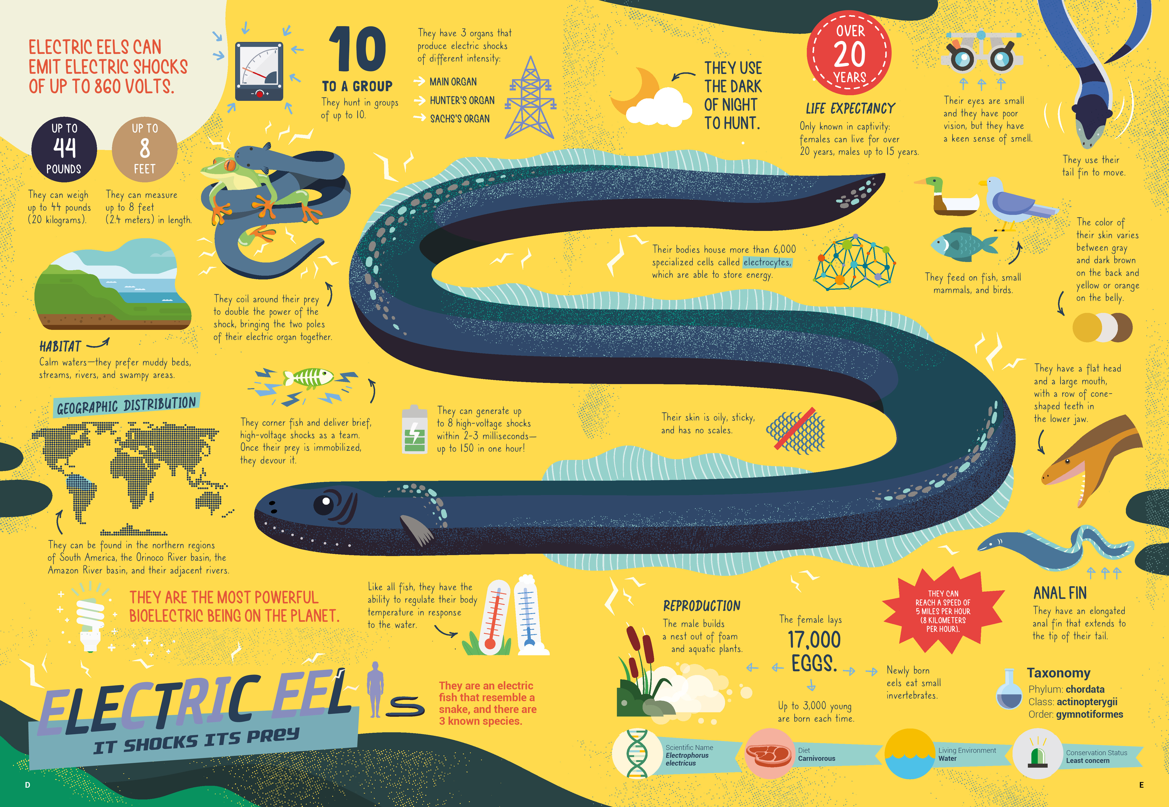 9783967047769_innenansicht_03 9783967047769_innenansicht_03.jpg