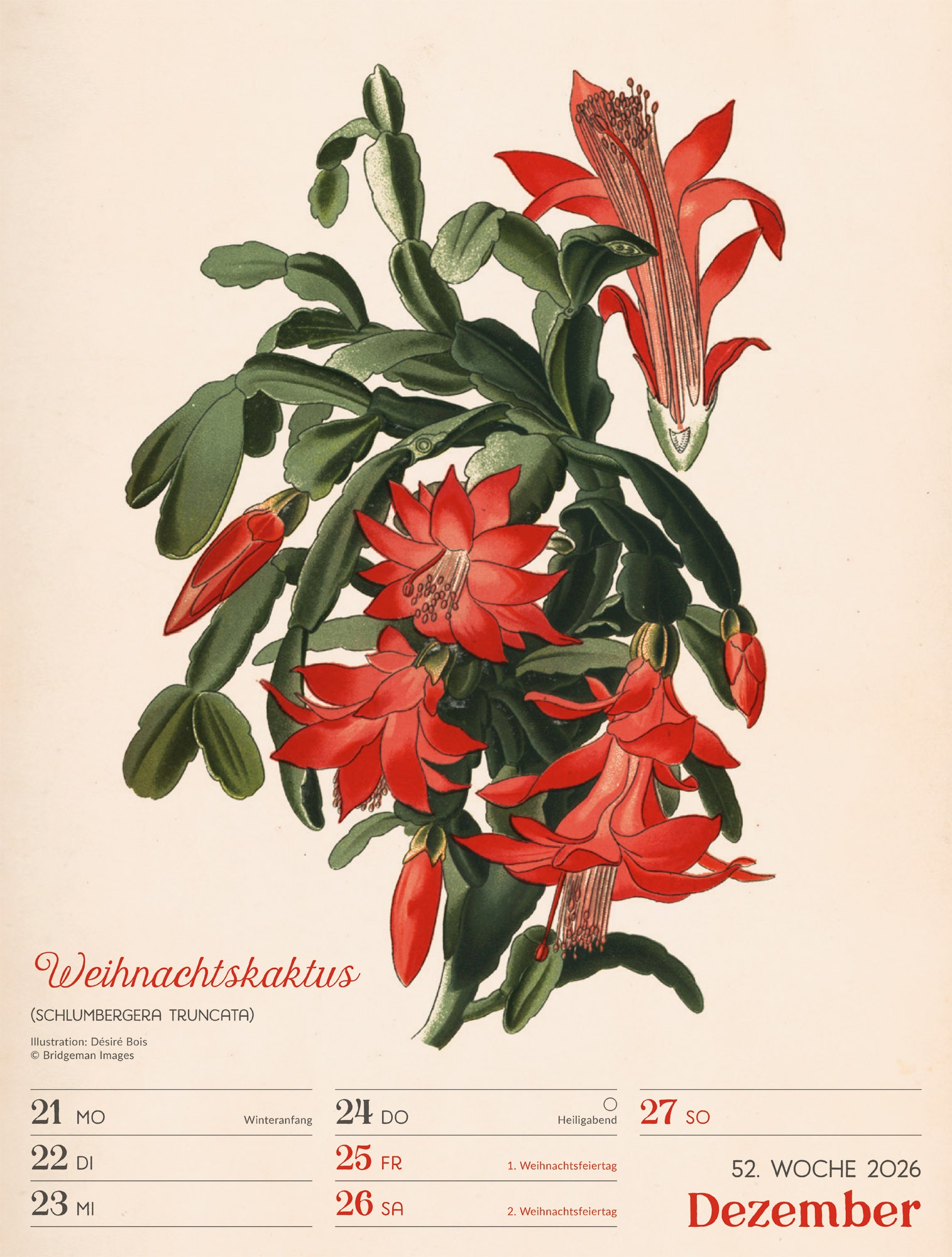 9783838436128_innenansicht_55 9783838436128_innenansicht_55.jpg