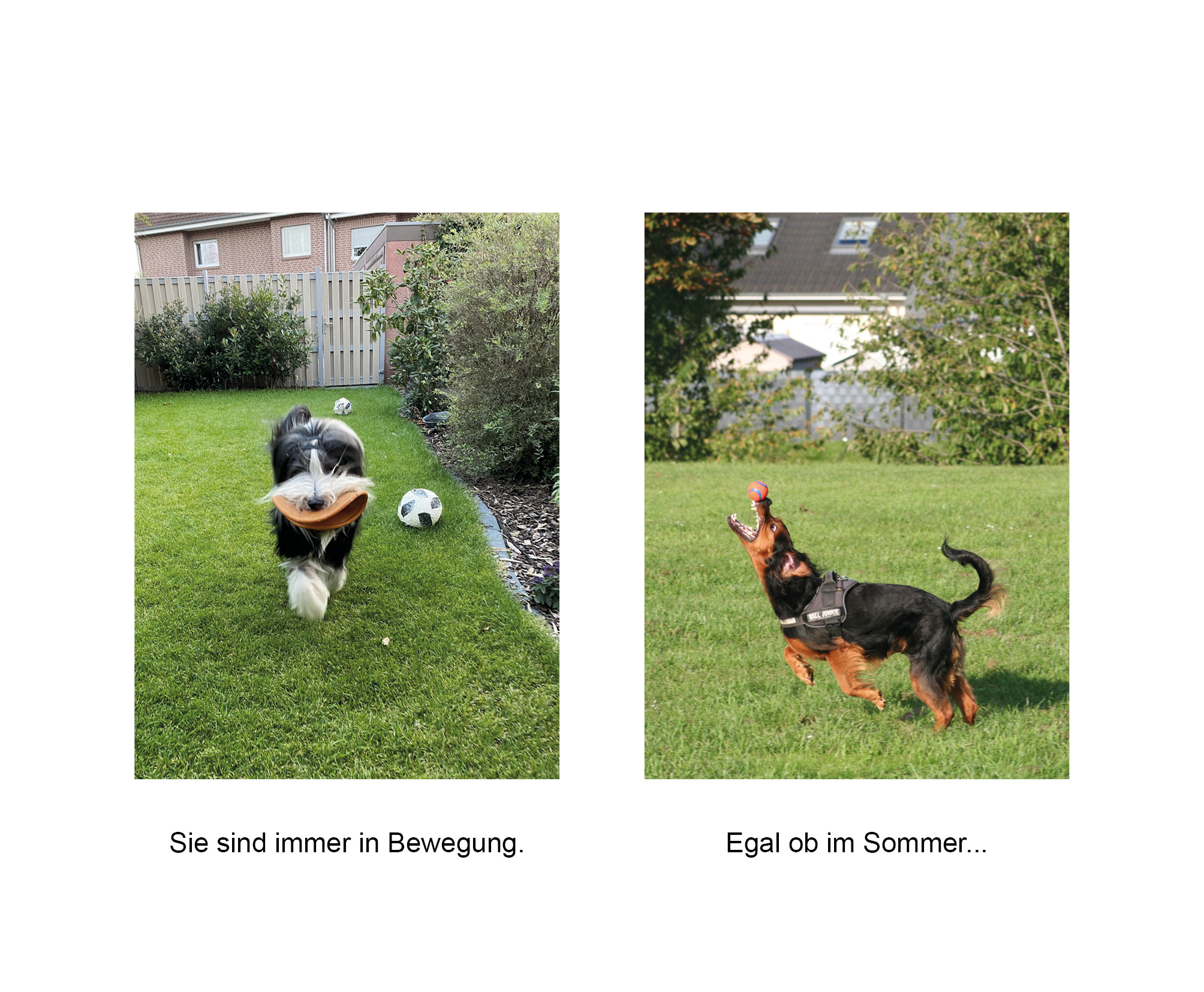 9783832169138_innenansicht_03.jpg