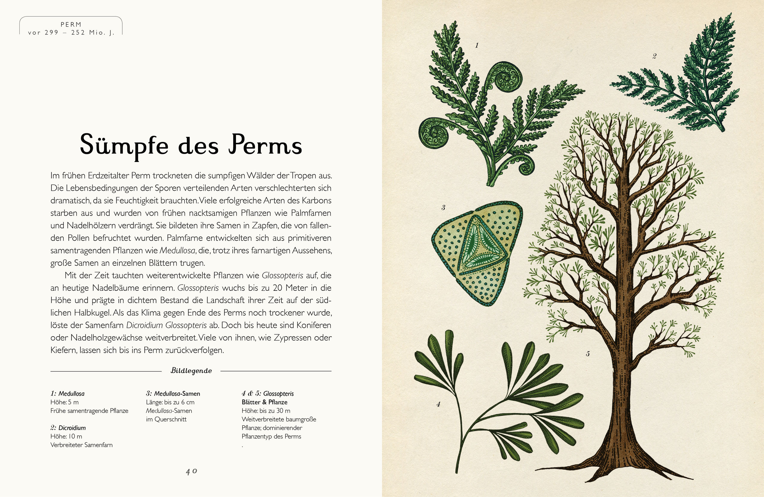 9783791373089_innenansicht_04 9783791373089_innenansicht_04.jpg