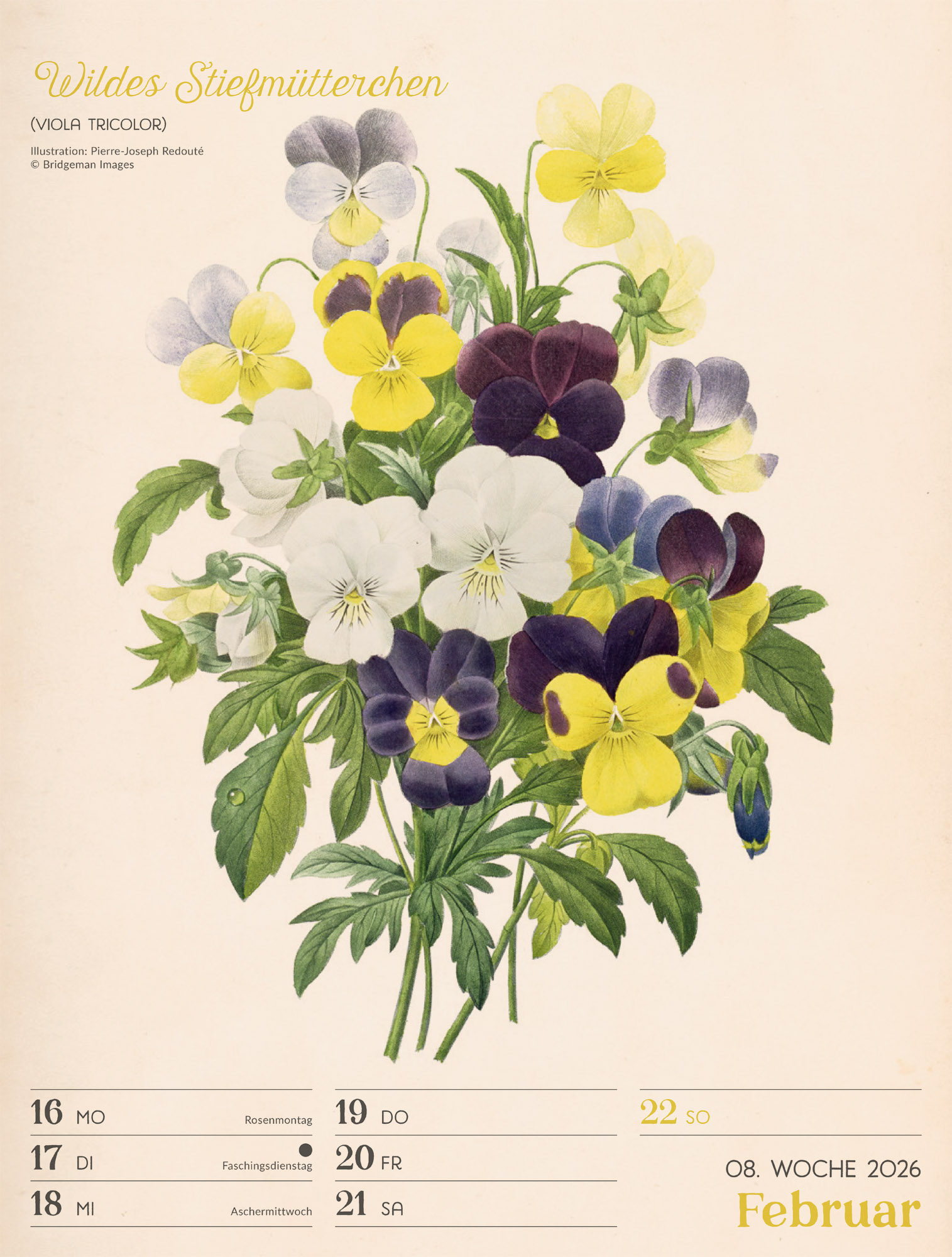 9783838436128_innenansicht_11 9783838436128_innenansicht_11.jpg