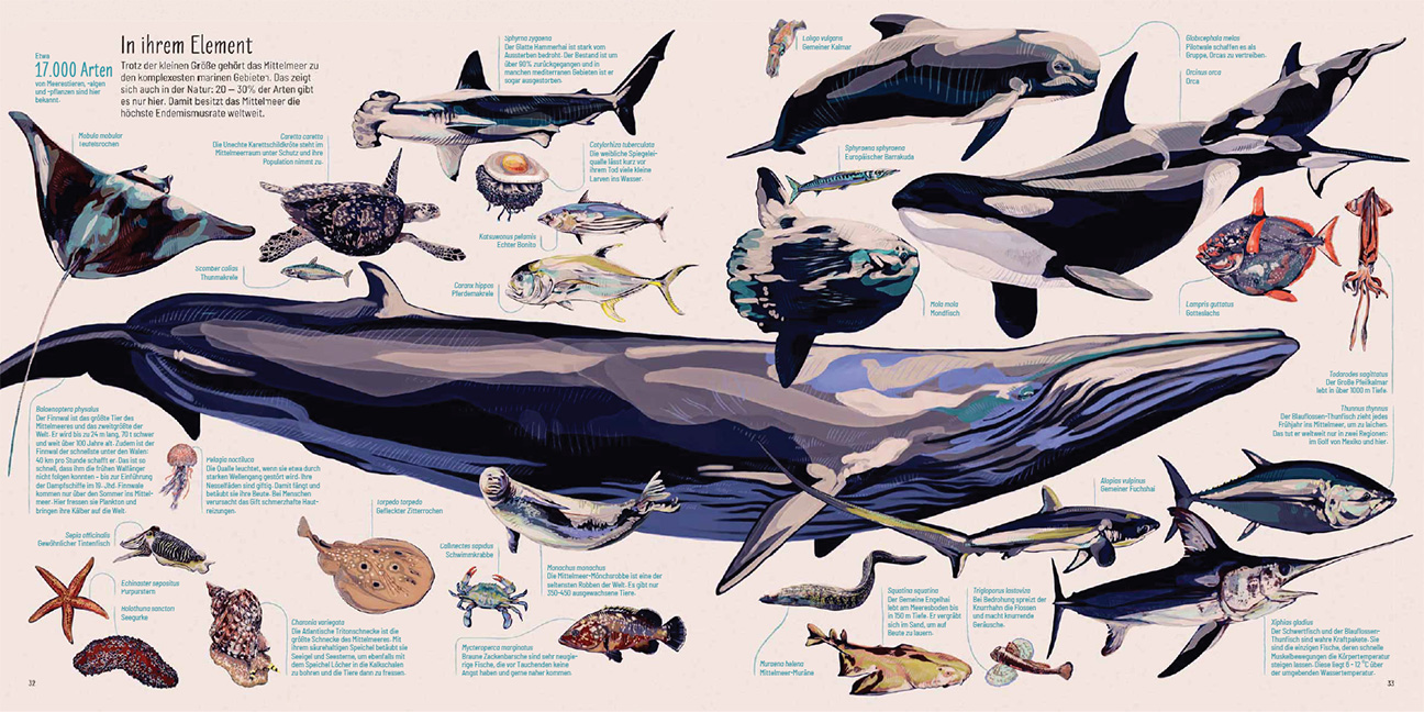 9783258083643_innenansicht_03 9783258083643_innenansicht_03.jpg