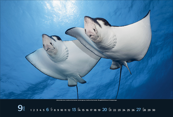 9783731888161_innenansicht_09 9783731888161_innenansicht_09.jpg