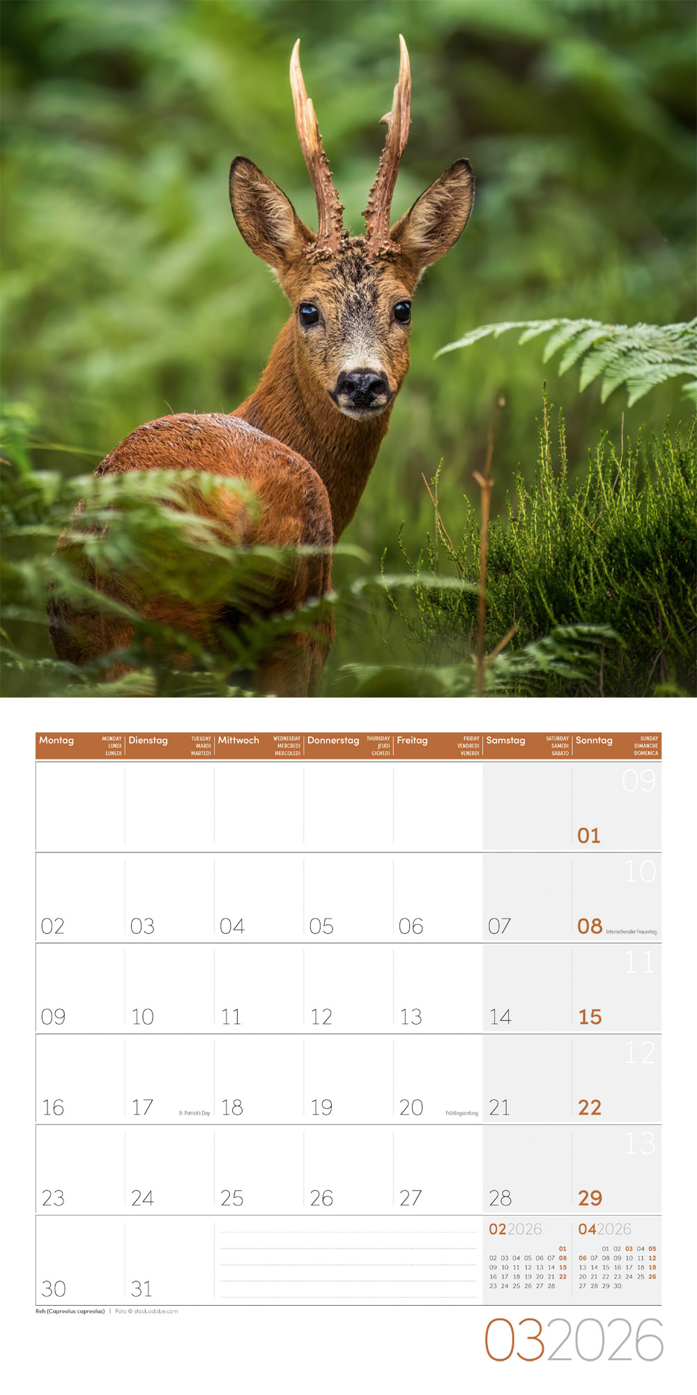 9783838446264_innenansicht_03 9783838446264_innenansicht_03.jpg