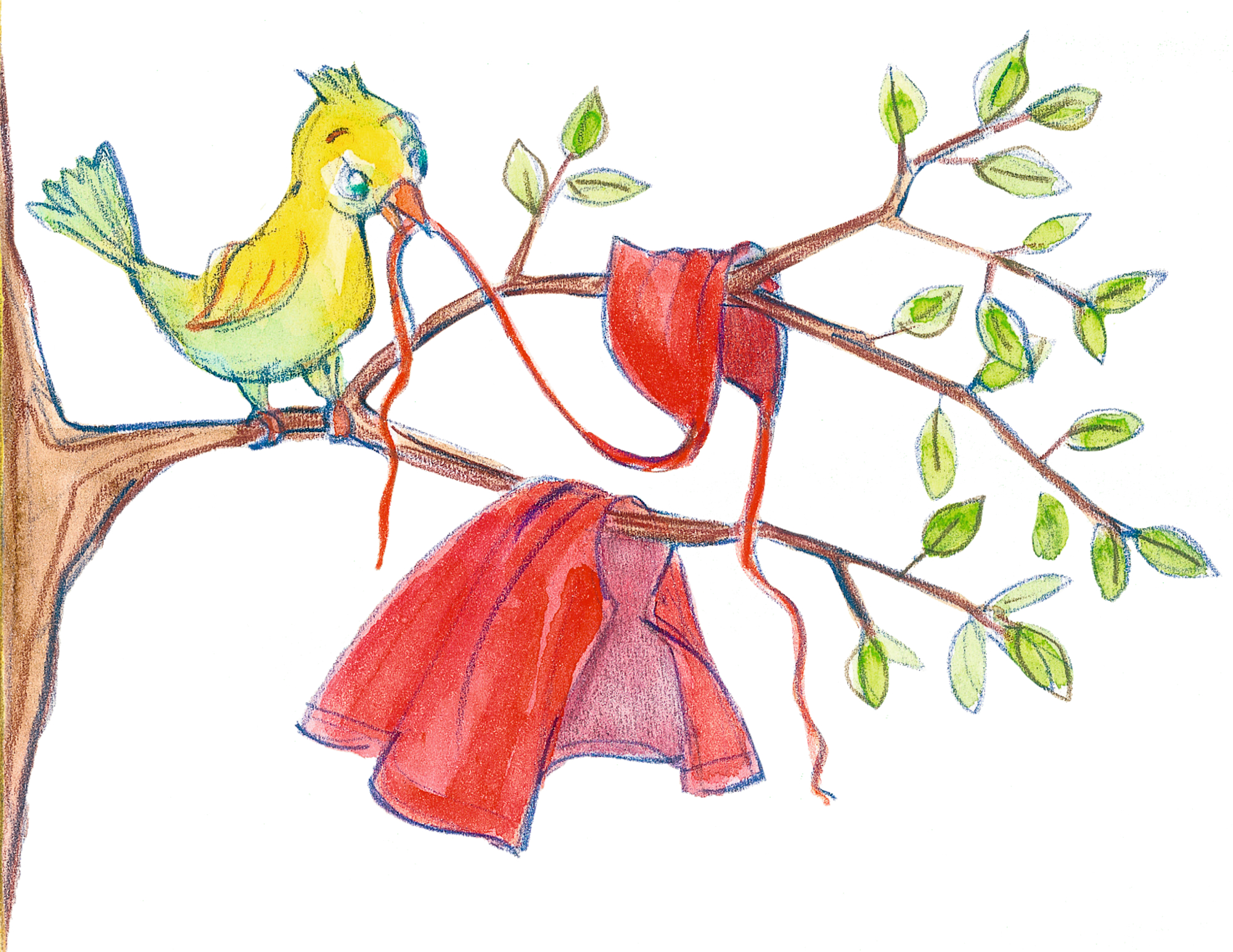 9783649646556_innenansicht_08 9783649646556_innenansicht_08.jpg