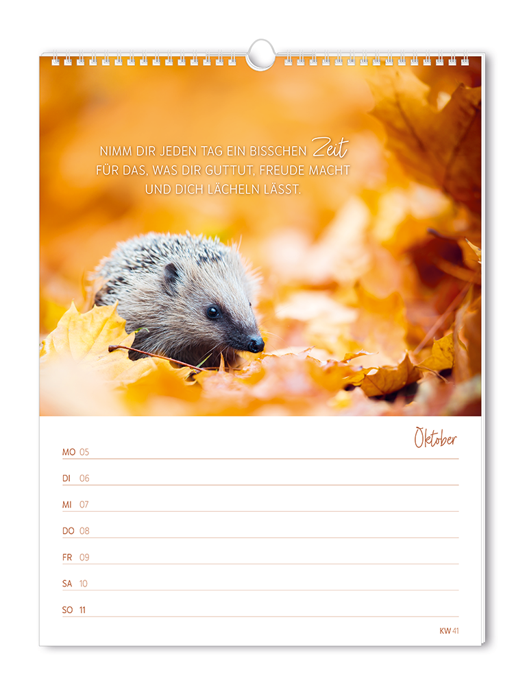 9783986361846_innenansicht_08 9783986361846_innenansicht_08.png