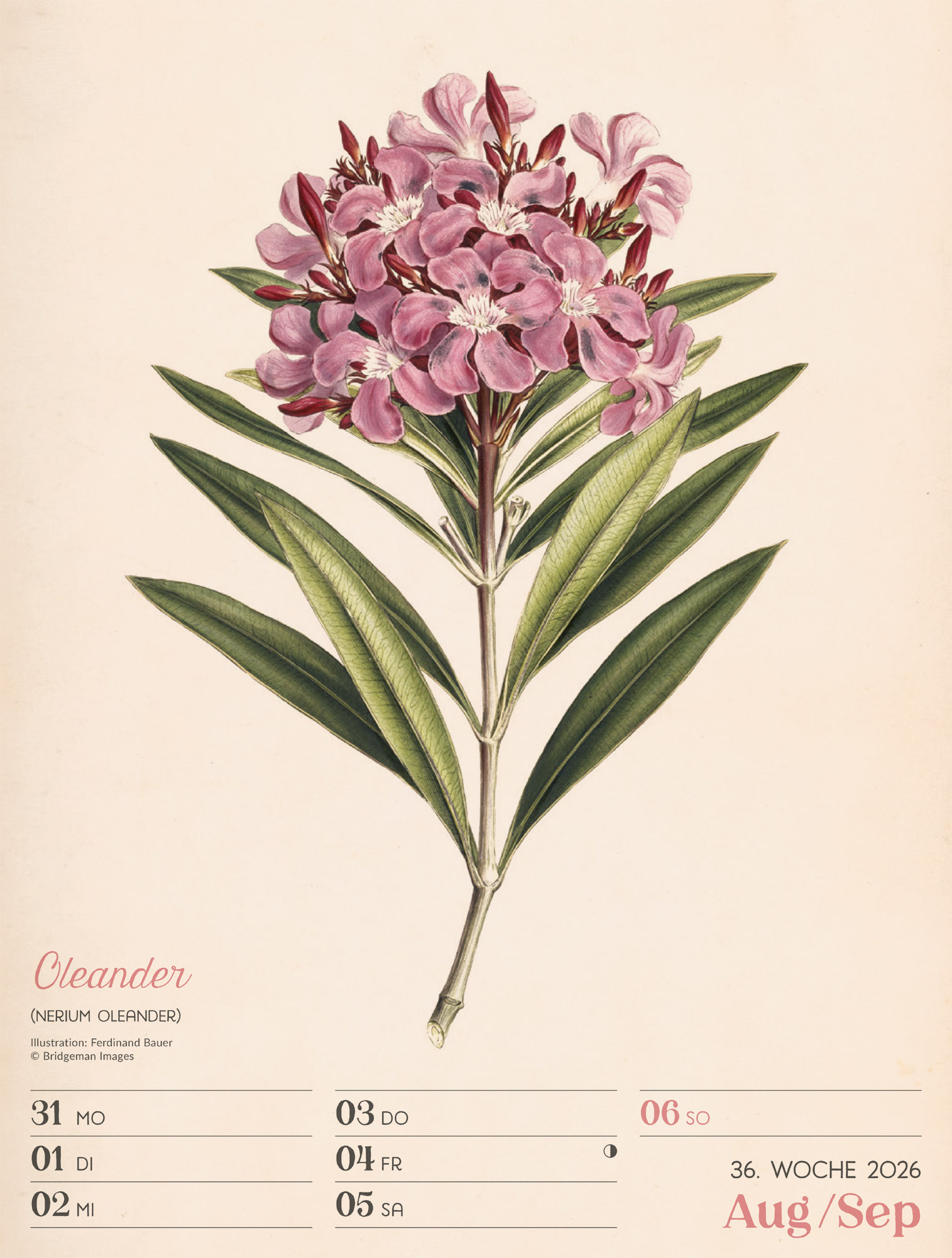 9783838436128_innenansicht_39 9783838436128_innenansicht_39.jpg