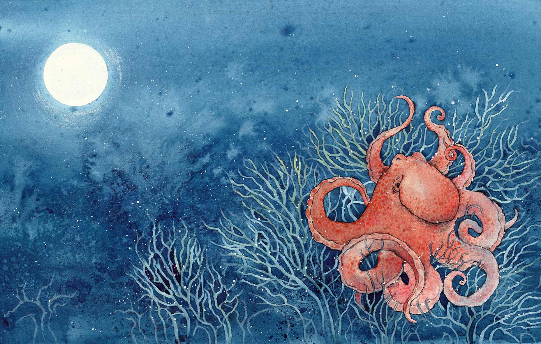 9783825153182_innenansicht_01 9783825153182_innenansicht_01.jpg