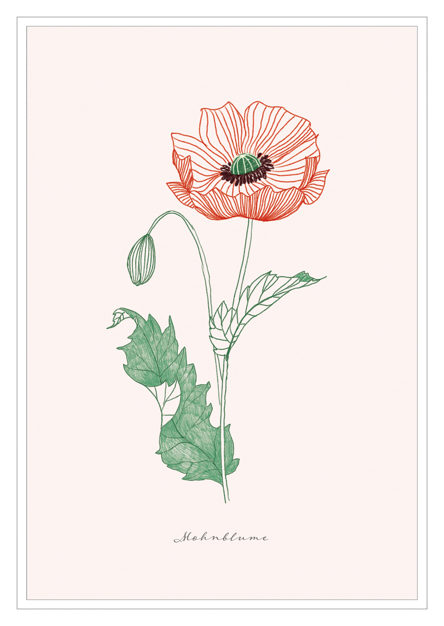 4250222903221_innenansicht_12 4250222903221_innenansicht_12.jpg