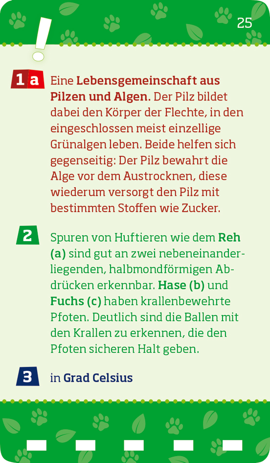 9783788677763_innenansicht_06.jpg