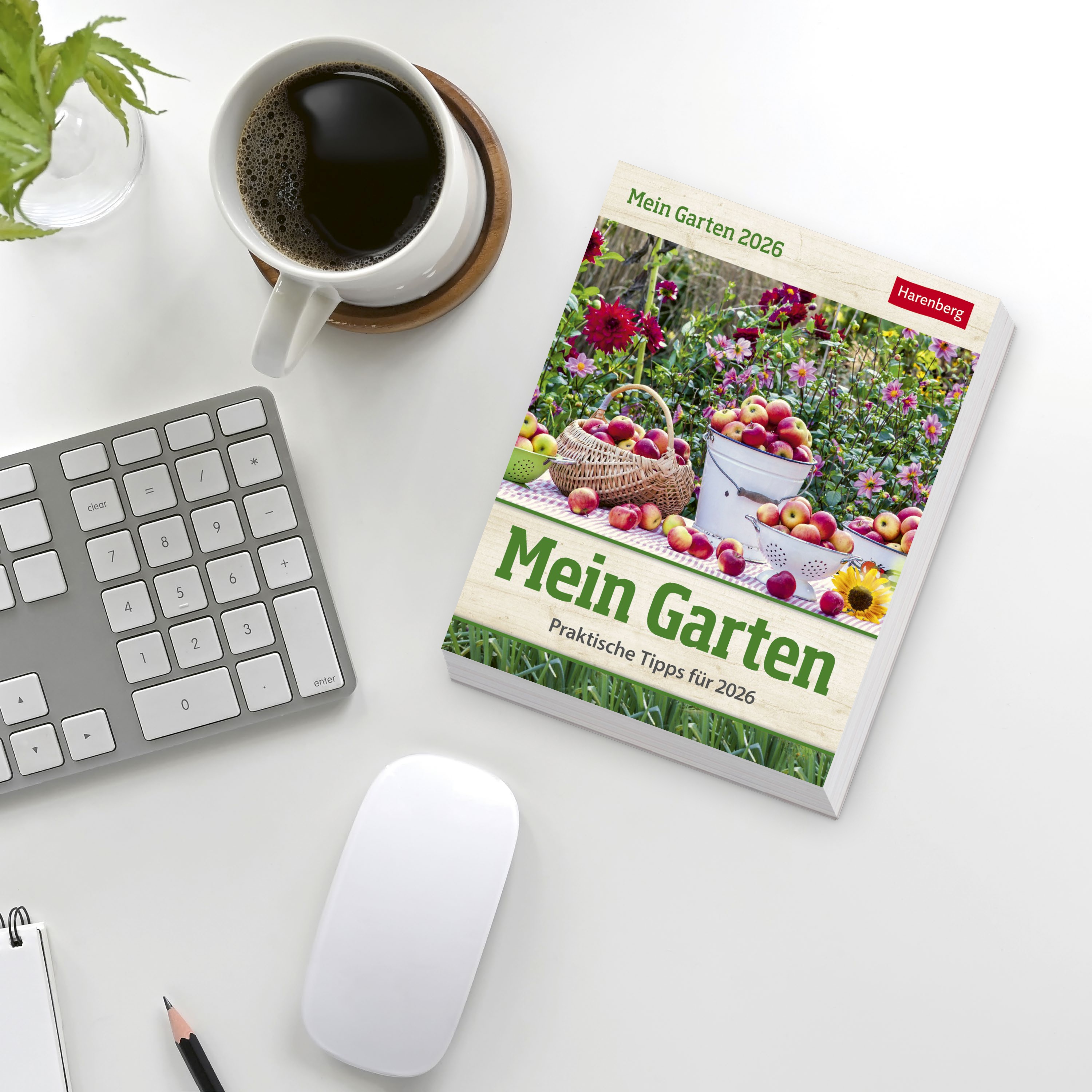 9783840035500_weiterecover_01 9783840035500_weiterecover_01.jpg