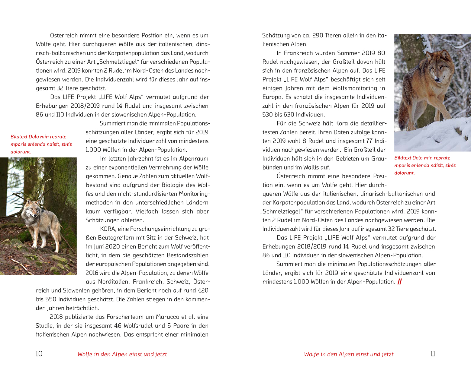 9788868395698_innenansicht_05 9788868395698_innenansicht_05.jpg