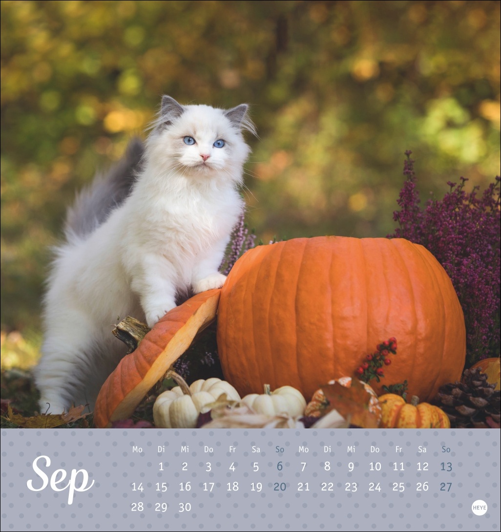 9783756410460_innenansicht_09 9783756410460_innenansicht_09.jpg