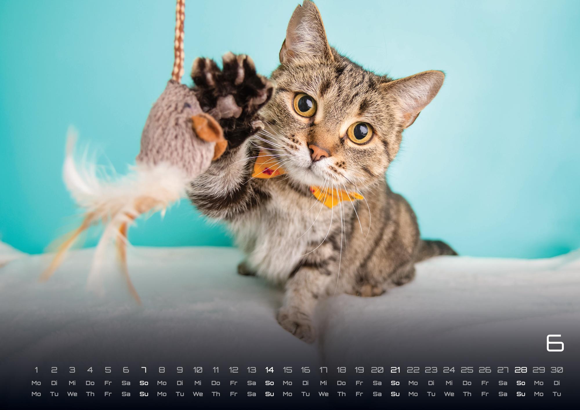 9783986735470_innenansicht_06 9783986735470_innenansicht_06.jpg