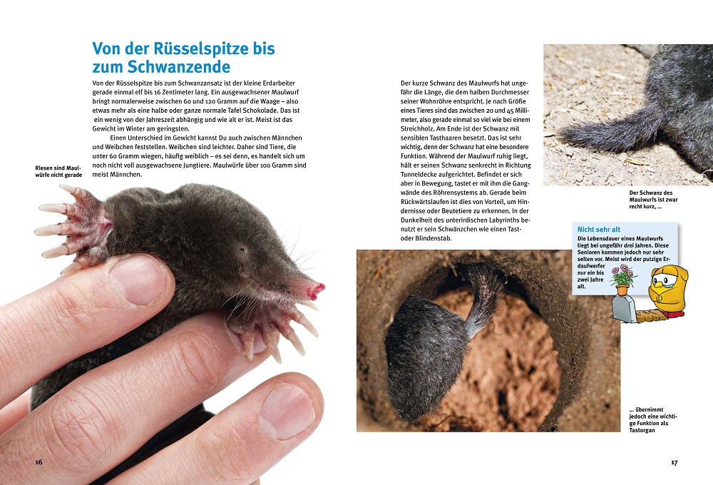 9783866595118_innenansicht_02 9783866595118_innenansicht_02.jpg