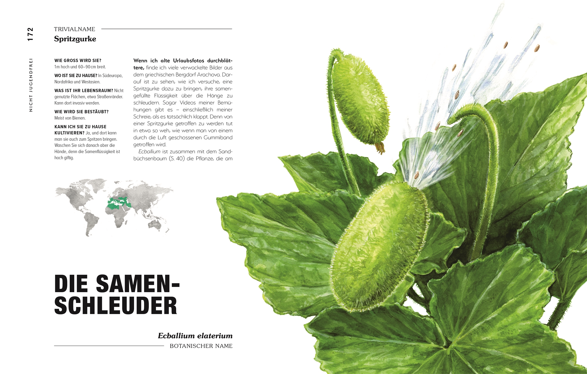 9783831047406_innenansicht_08 9783831047406_innenansicht_08.jpg