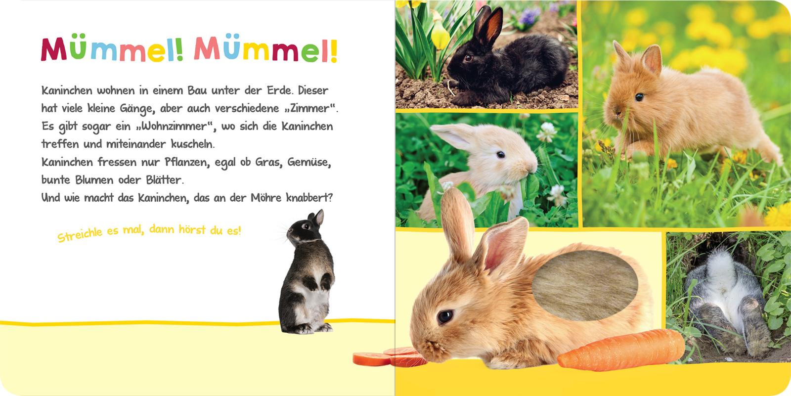 9783845842905_innenansicht_01.jpg