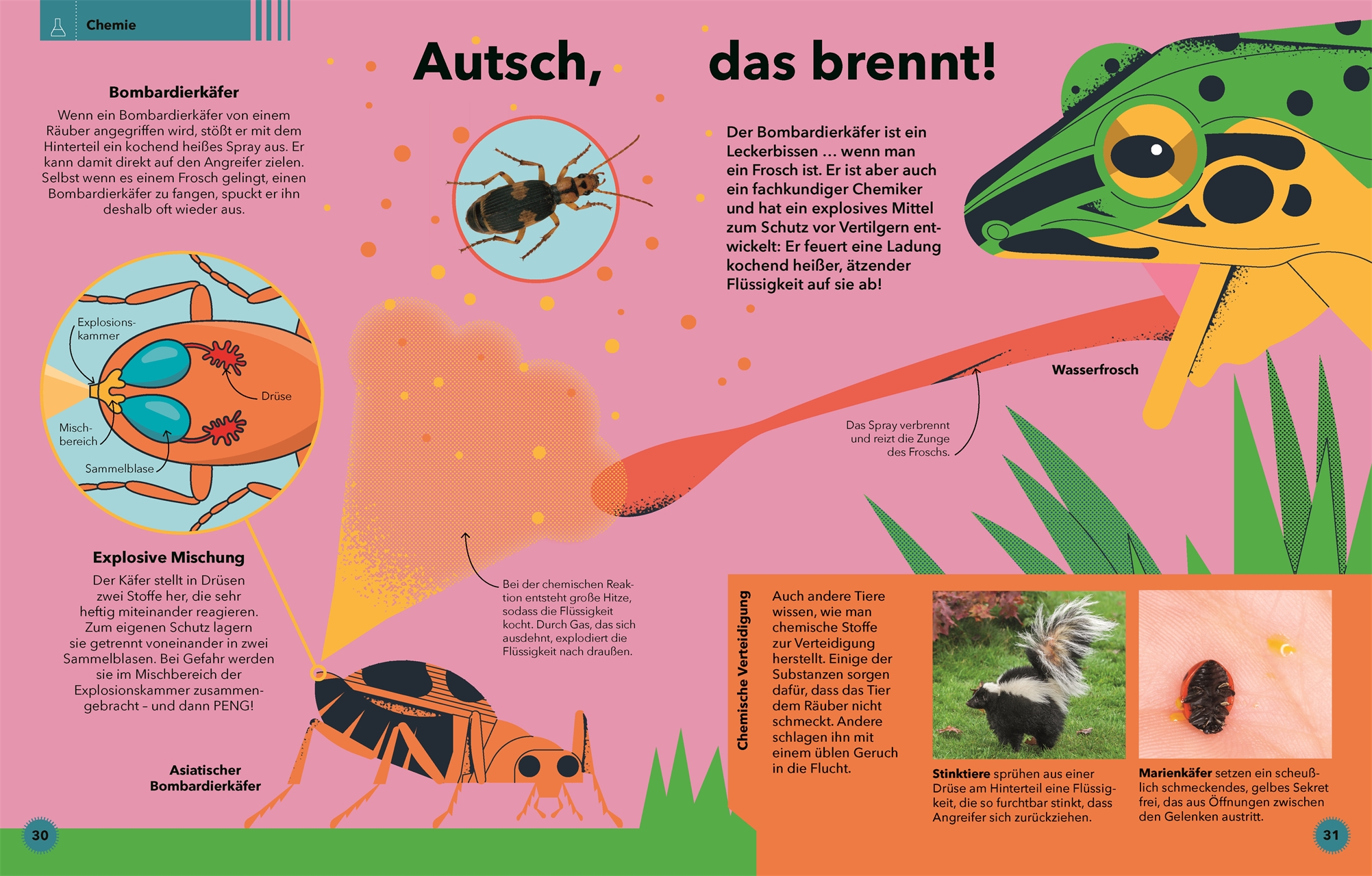 9783831042005_innenansicht_04 9783831042005_innenansicht_04.jpg