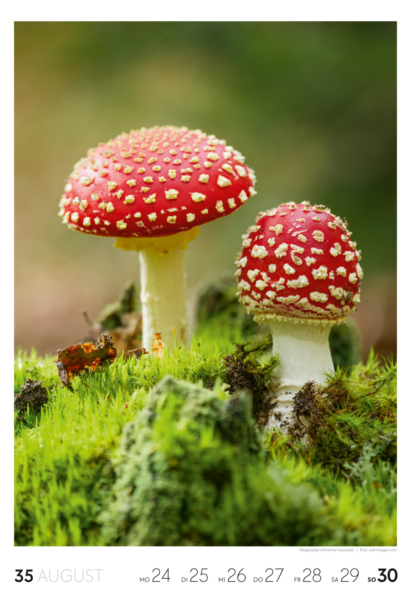 9783838436456_innenansicht_35.jpg