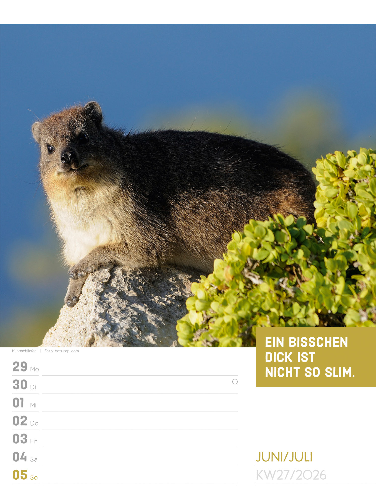 9783838426969_innenansicht_30 9783838426969_innenansicht_30.jpg