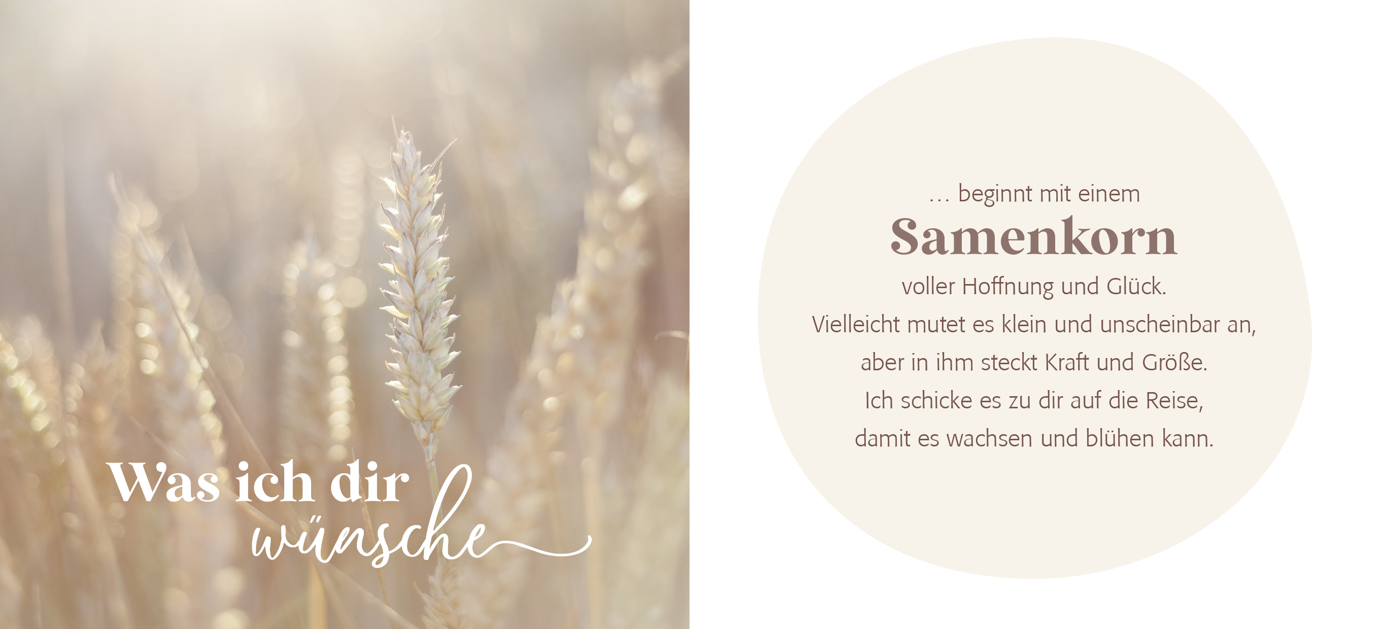 9783848502066_innenansicht_01.jpg