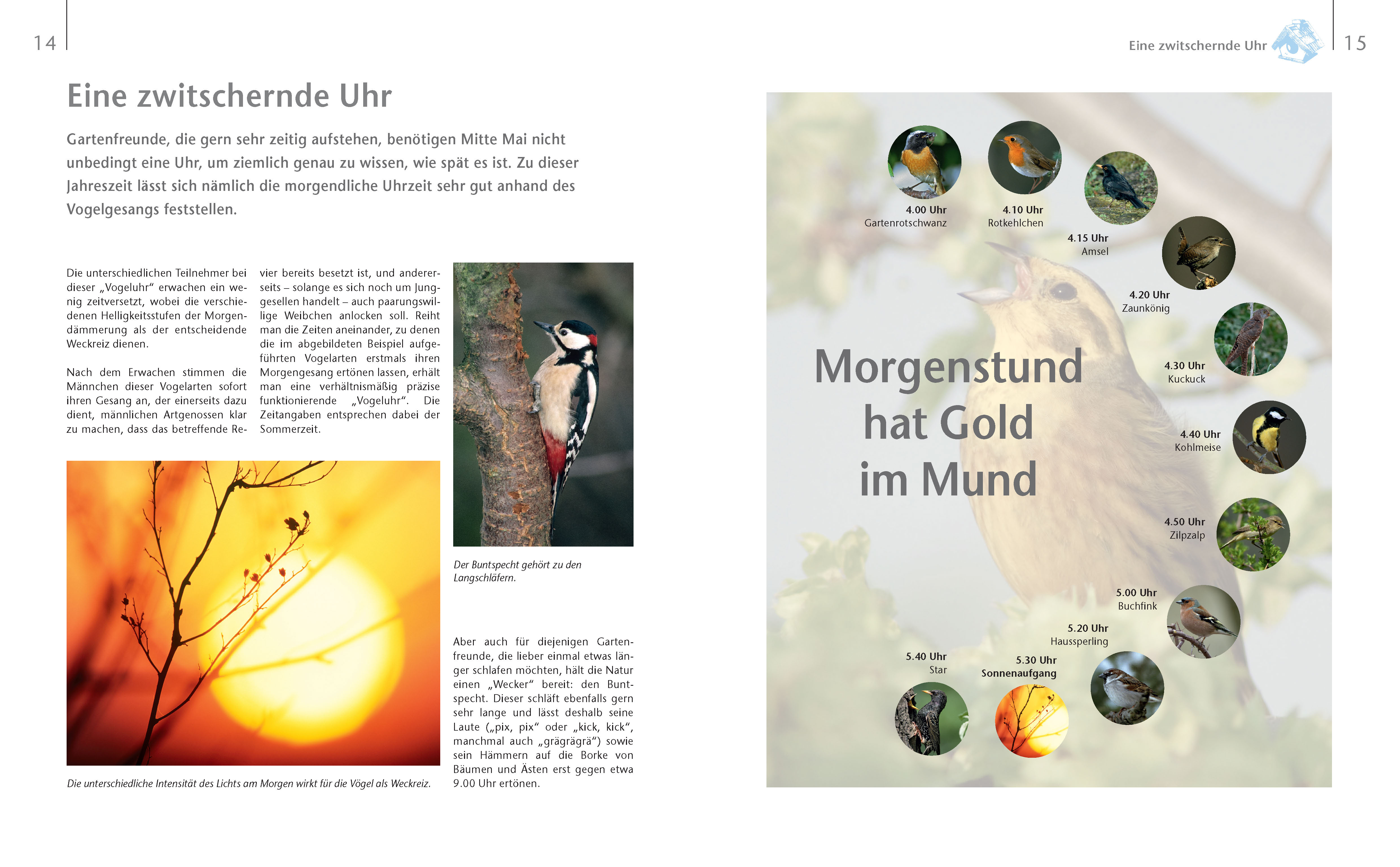 9783625192411_innenansicht_02 9783625192411_innenansicht_02.jpg