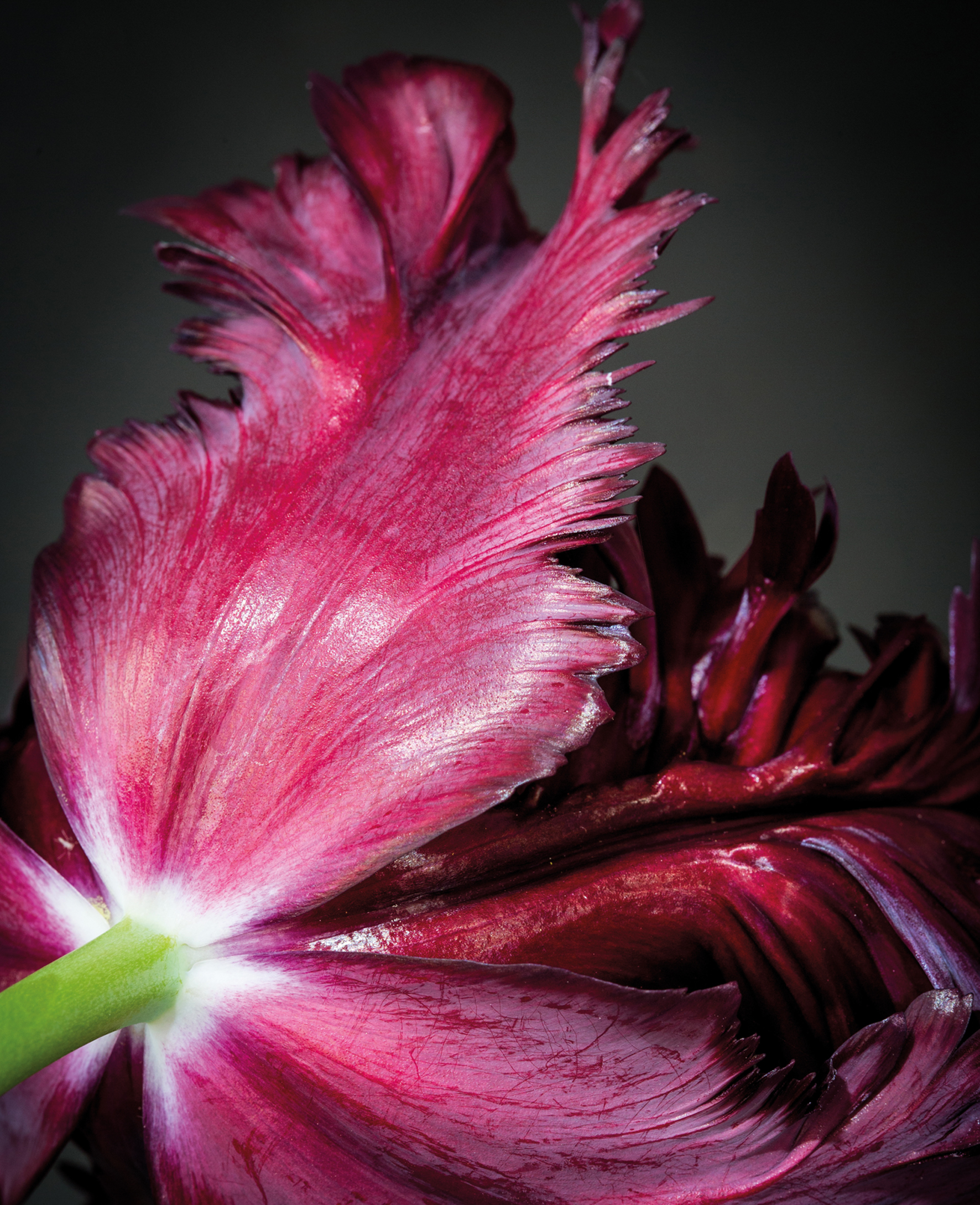 9783961715428_innenansicht_04 9783961715428_innenansicht_04.jpg