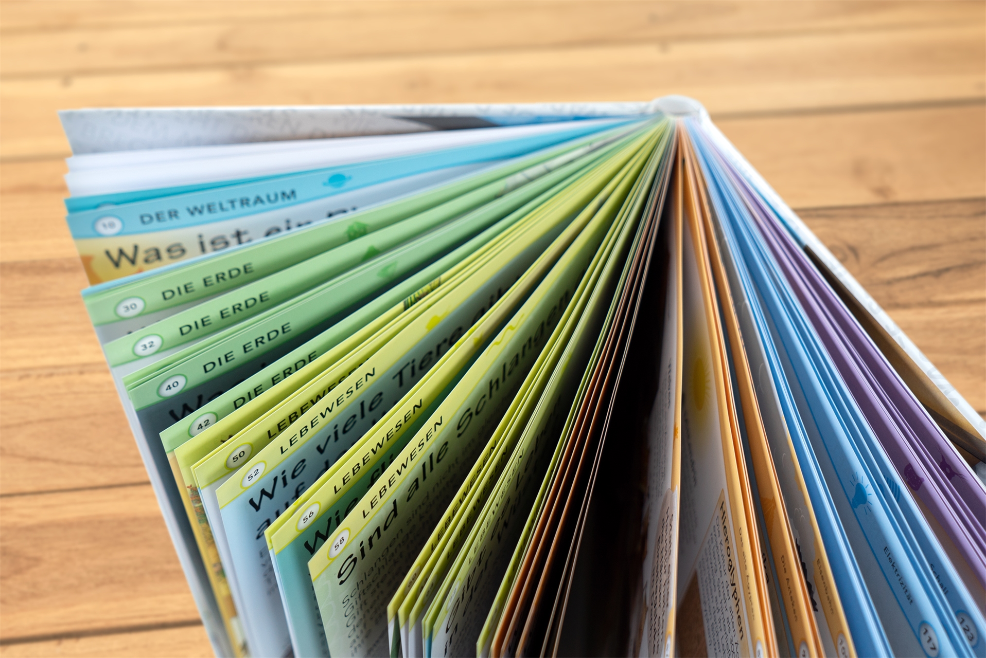 9783831028092_innenansicht_09.jpg 9783831028092_innenansicht_09.jpg