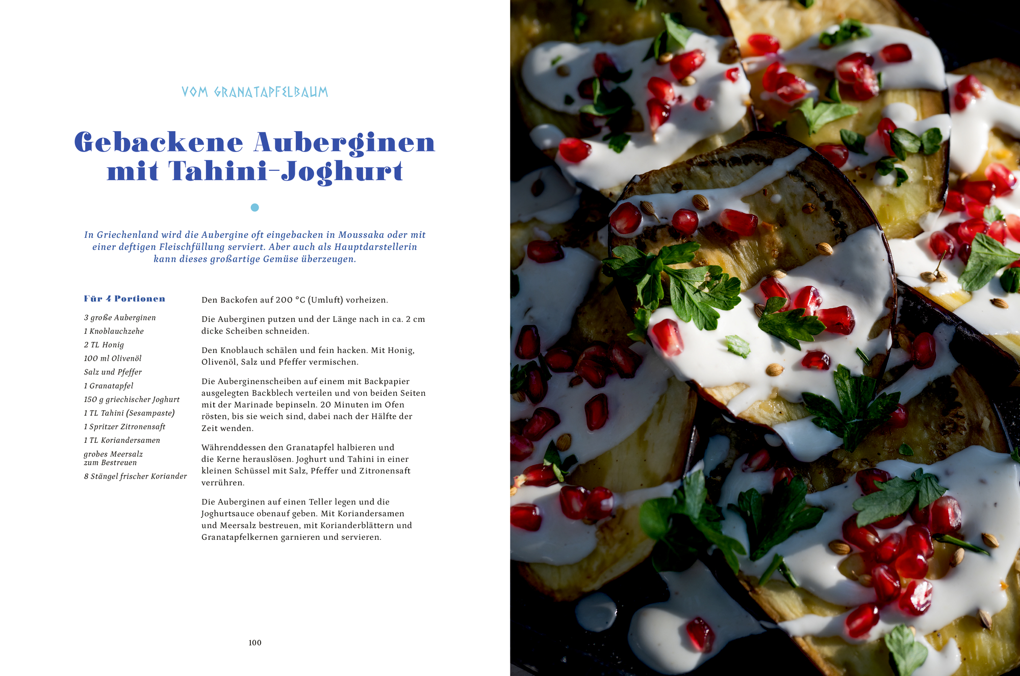 9783756710478_innenansicht_09.jpg