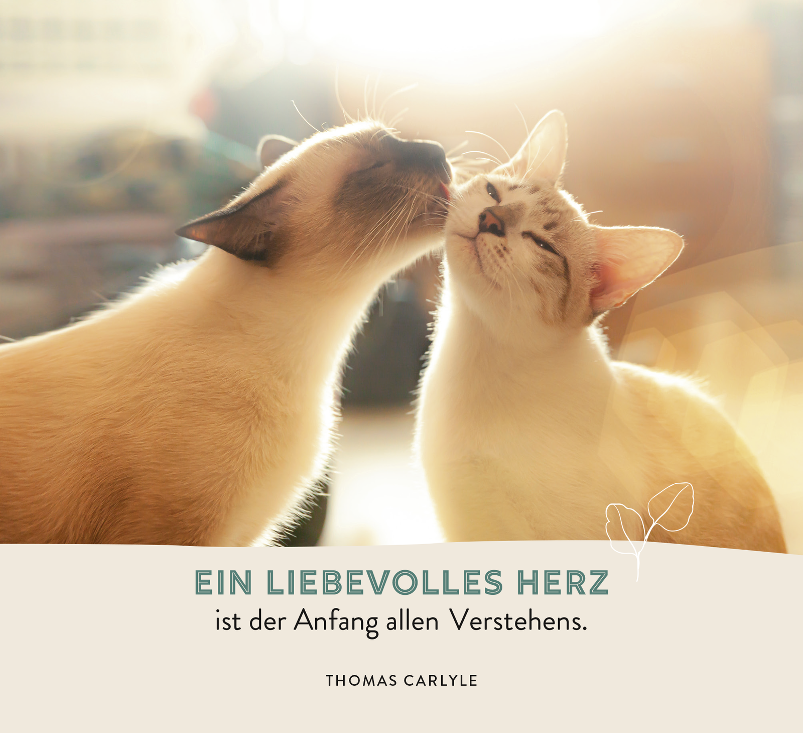 9783848502806_innenansicht_04.png