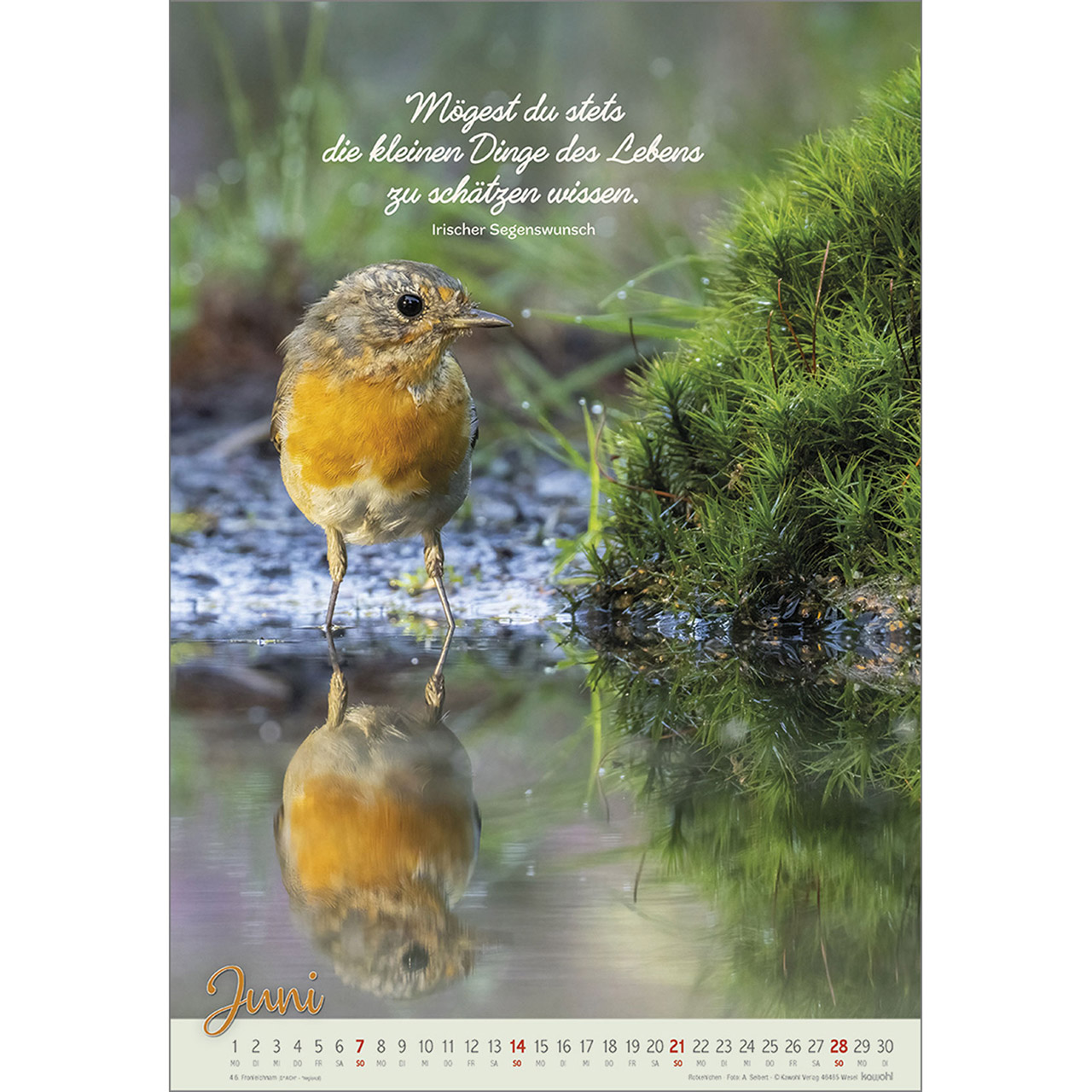 9783754804261_innenansicht_06 9783754804261_innenansicht_06.jpg