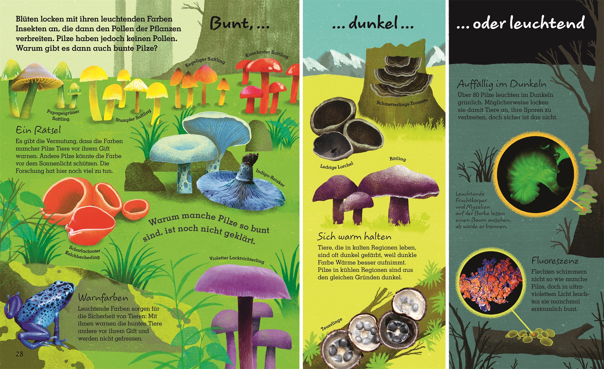 9783831044443_innenansicht_05 9783831044443_innenansicht_05.jpg