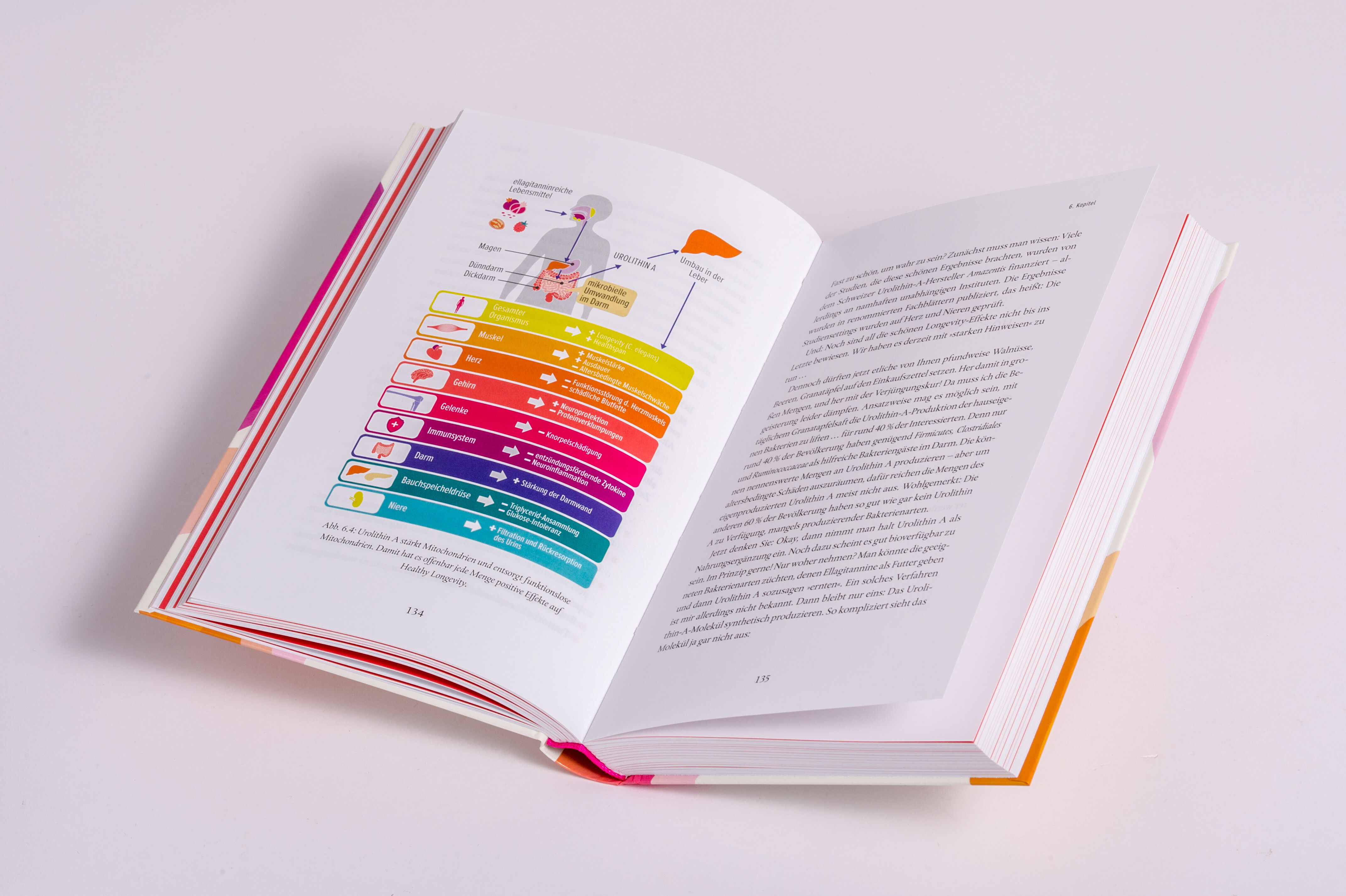 9783453218819_innenansicht_06 9783453218819_innenansicht_06.jpg