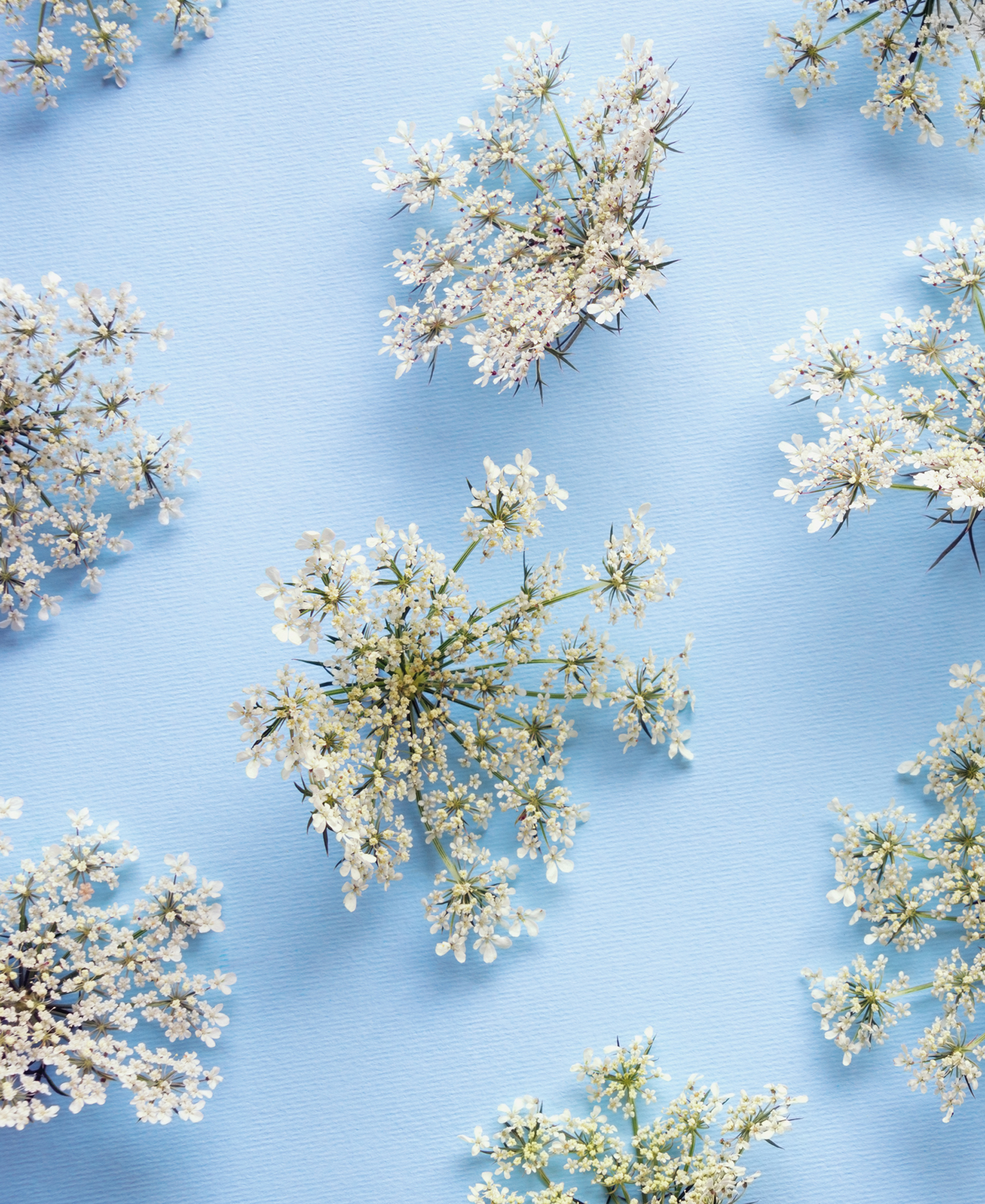 9783961715404_innenansicht_04 9783961715404_innenansicht_04.jpg