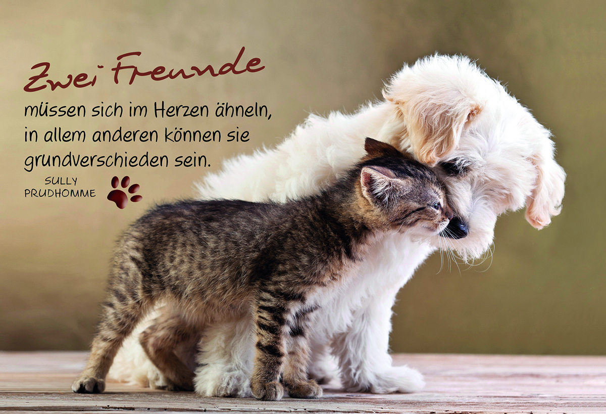 9783863387112_innenansicht_01 9783863387112_innenansicht_01.jpg