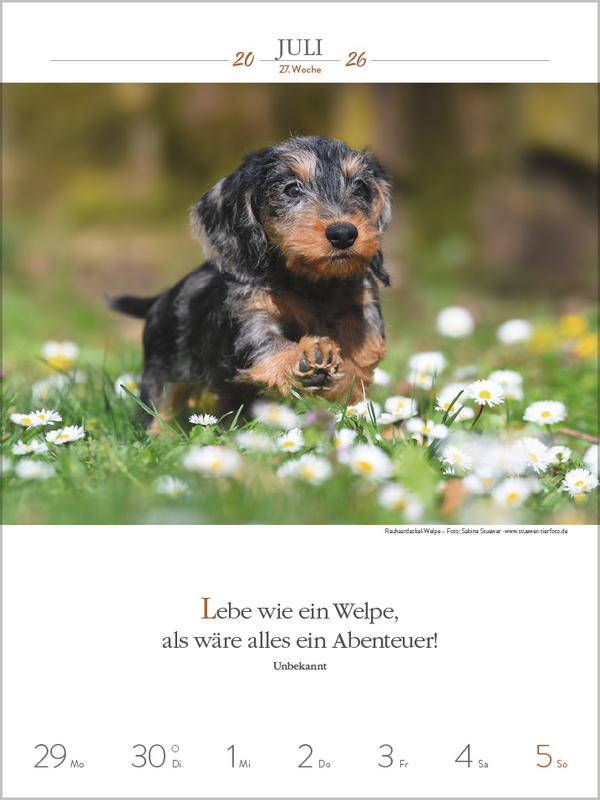 9783731884392_innenansicht_05.jpg