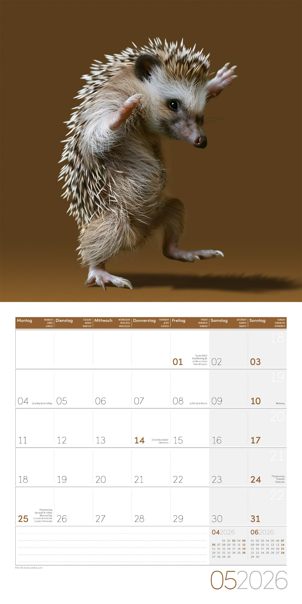 9783838446189_innenansicht_05 9783838446189_innenansicht_05.jpg