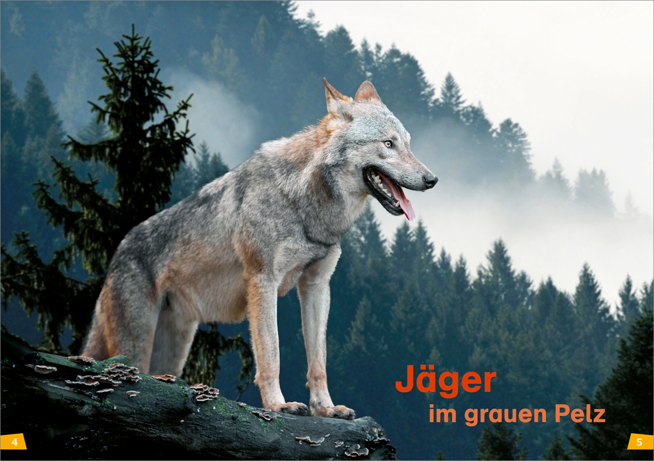 9783788676766_innenansicht_01.jpg