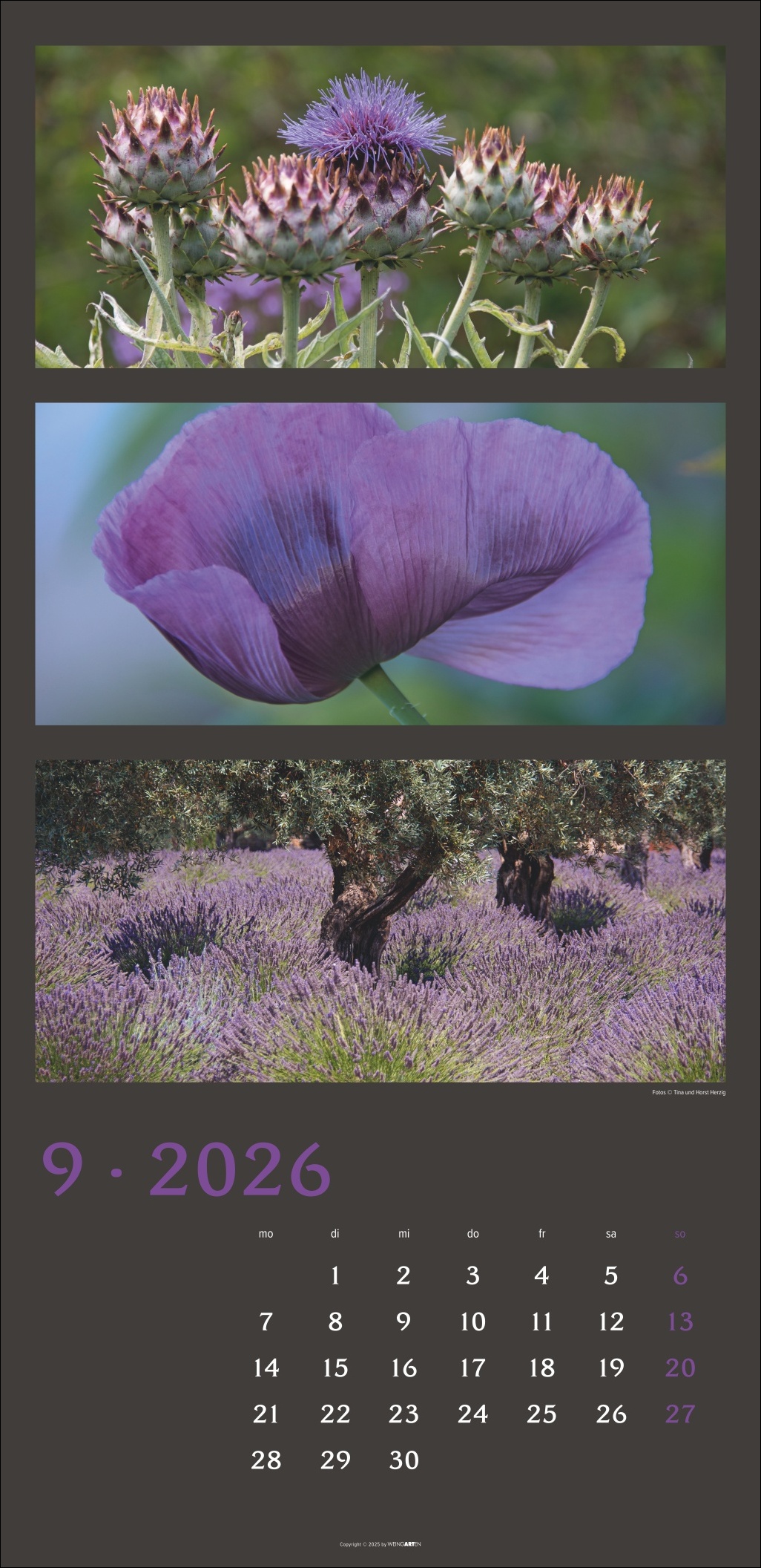 9783839902226_innenansicht_09.jpg