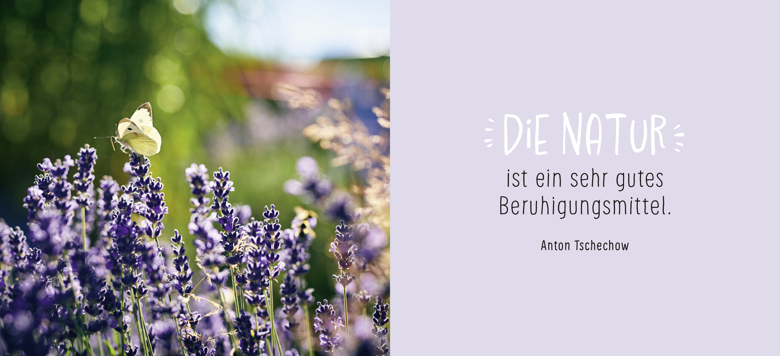 9783848502080_innenansicht_03.jpg