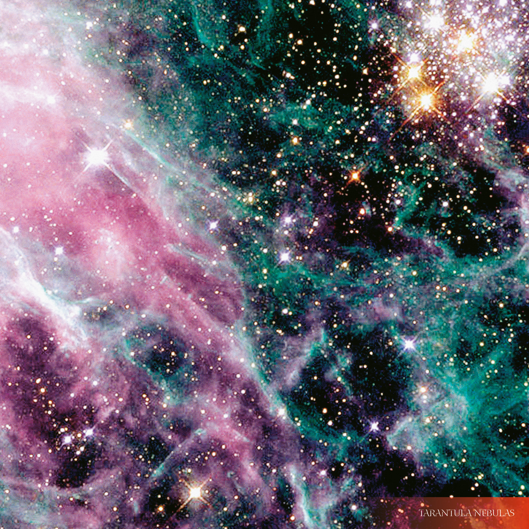 9783959295055_innenansicht_03 9783959295055_innenansicht_03.jpg