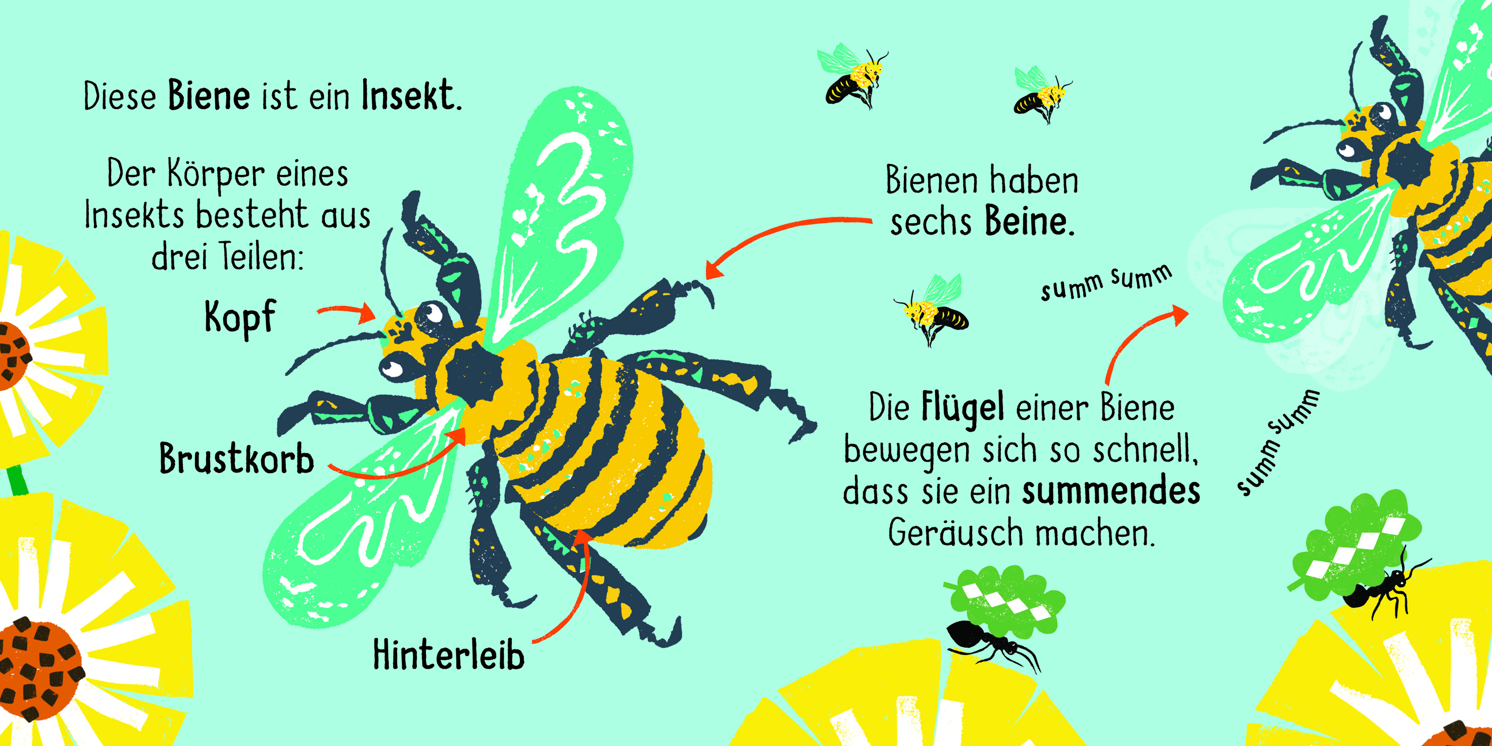 9783411722280_innenansicht_01.jpg