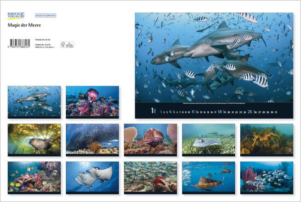 9783731888161_innenansicht_13 9783731888161_innenansicht_13.jpg