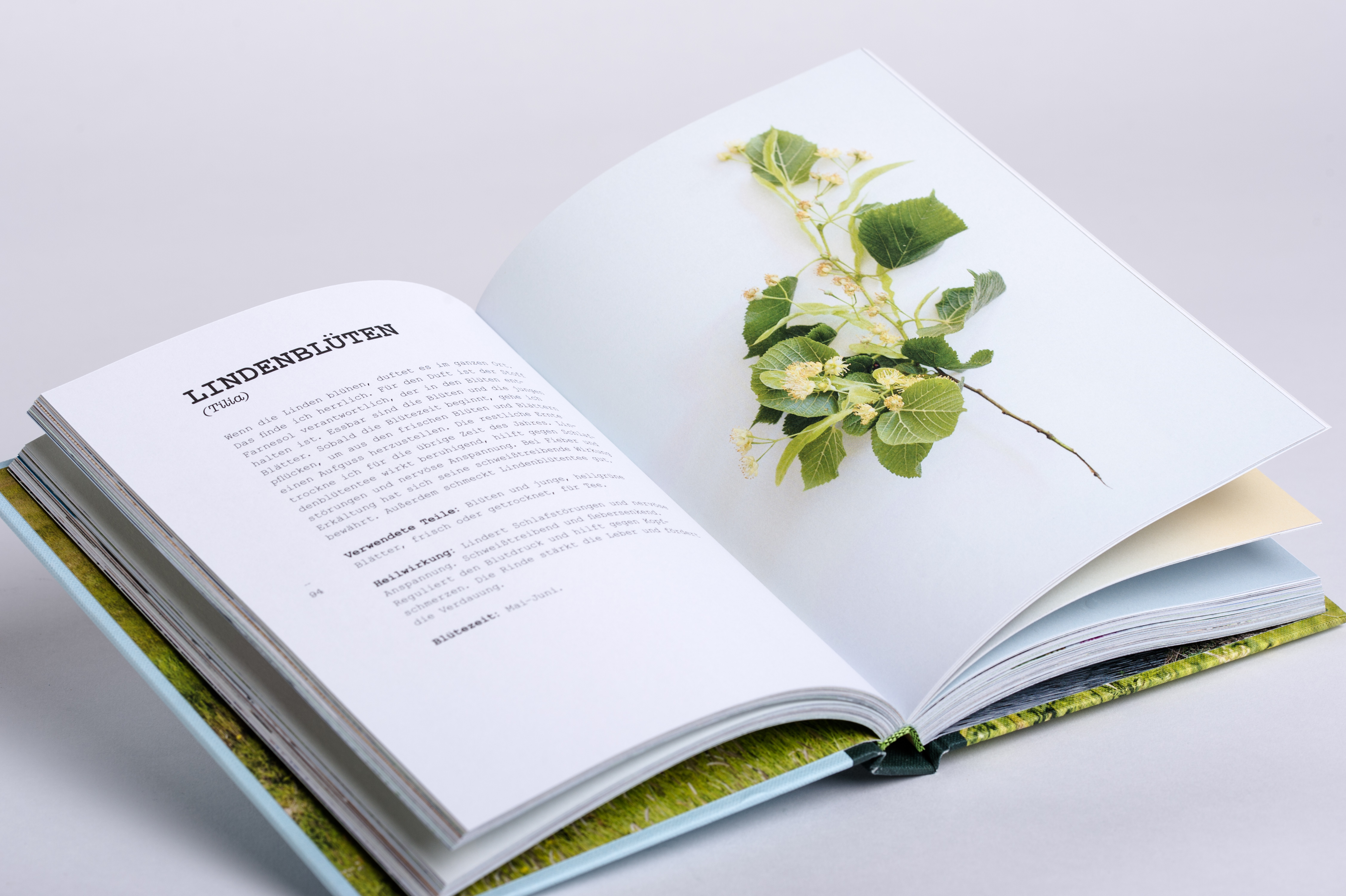 9783517098470_innenansicht_10 9783517098470_innenansicht_10.jpg