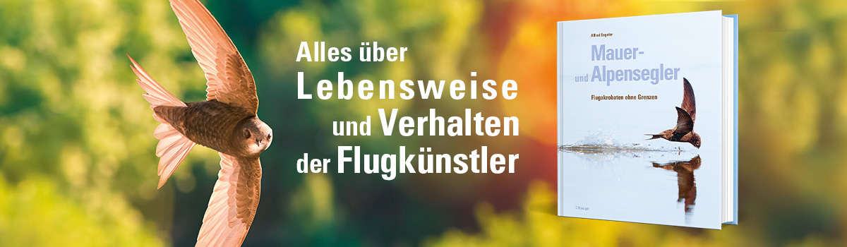 9783258084107_buehnenbild.jpg