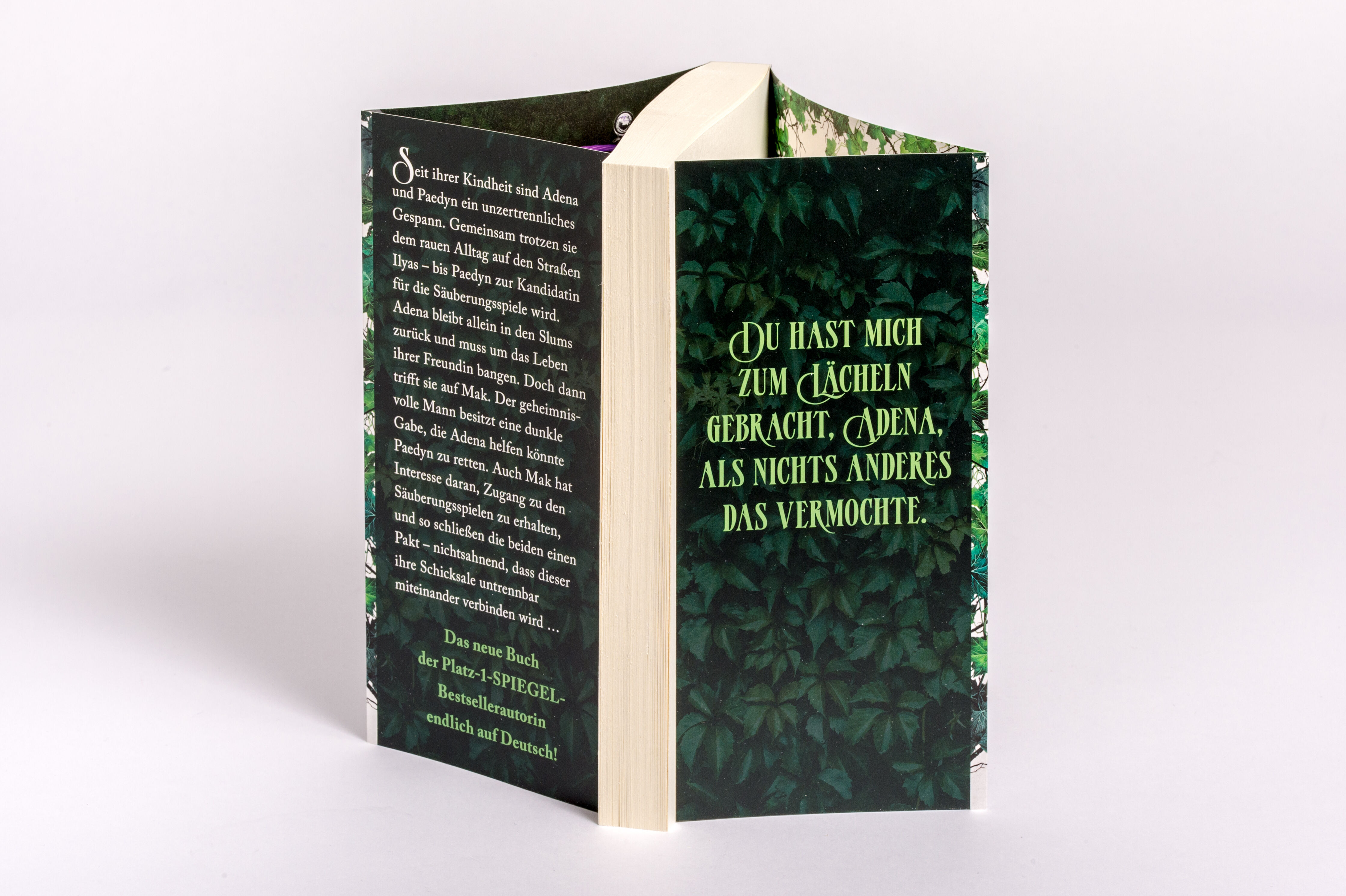 9783764533489_innenansicht_04 9783764533489_innenansicht_04.jpg