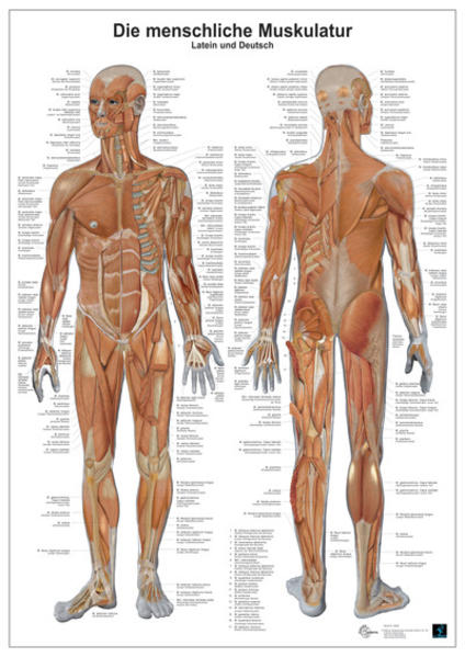 9783808568590 9783808568590