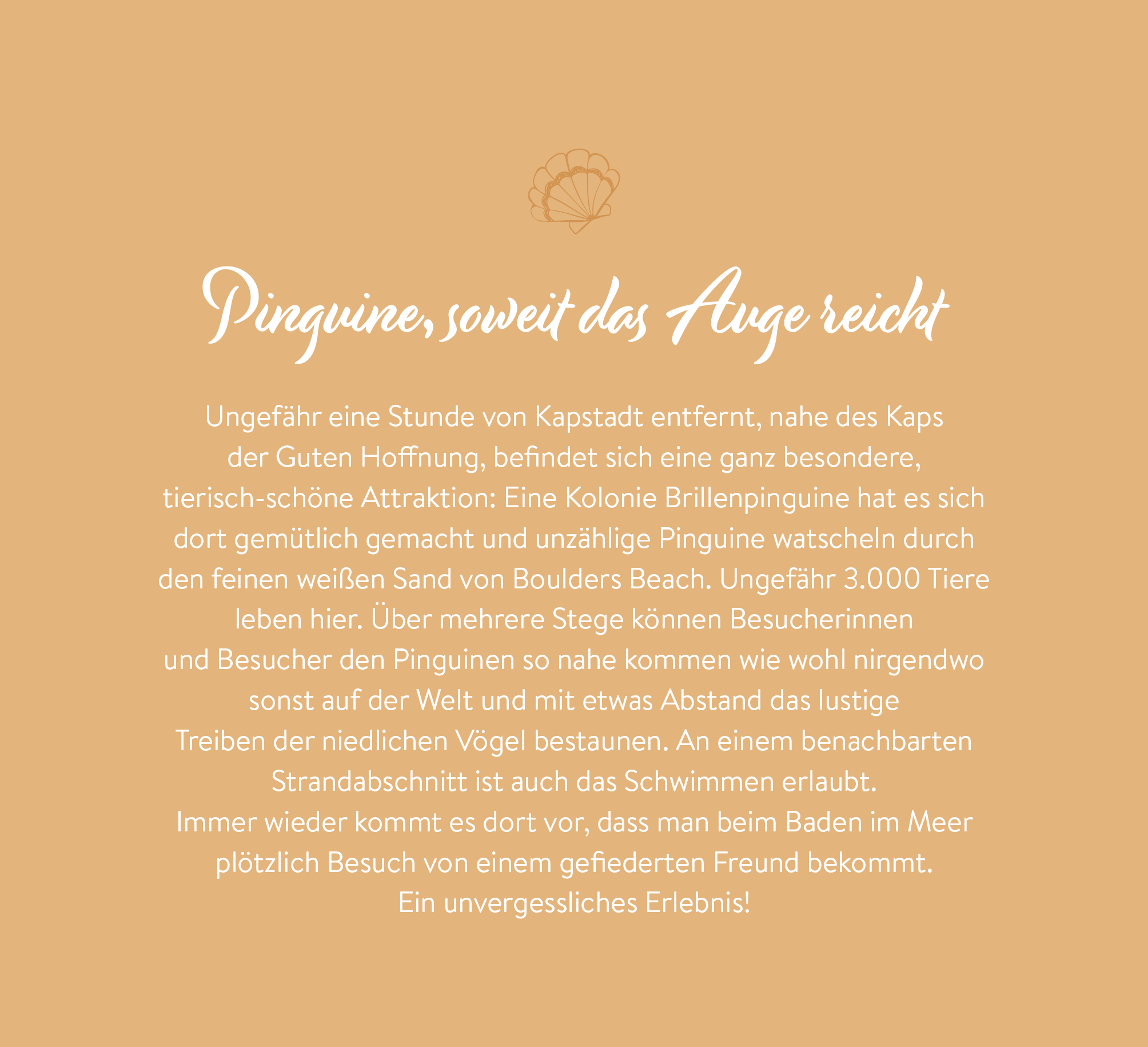 9783848502370_innenansicht_05 9783848502370_innenansicht_05.jpg